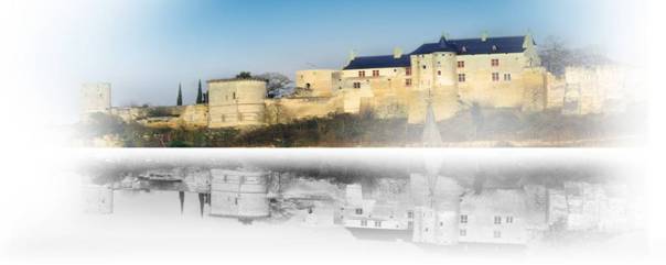 http://www.forteressechinon.fr/images/photo/20100628163035.jpg